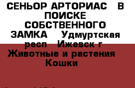 СЕНЬОР АРТОРИАС - В ПОИСКЕ СОБСТВЕННОГО ЗАМКА  - Удмуртская респ., Ижевск г. Животные и растения » Кошки   